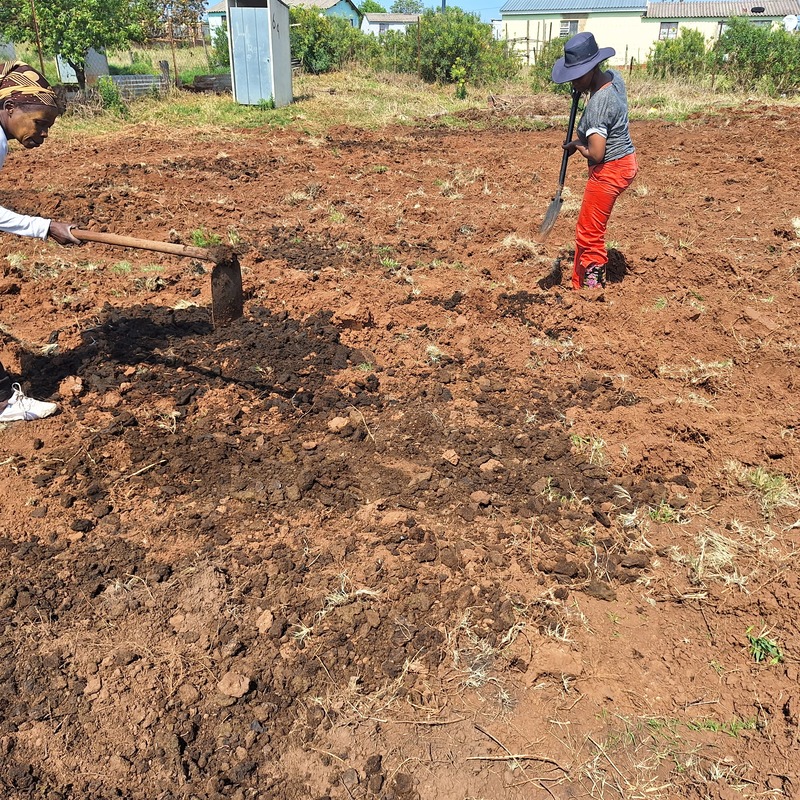 SIthu'mhlana Agricultural Programme